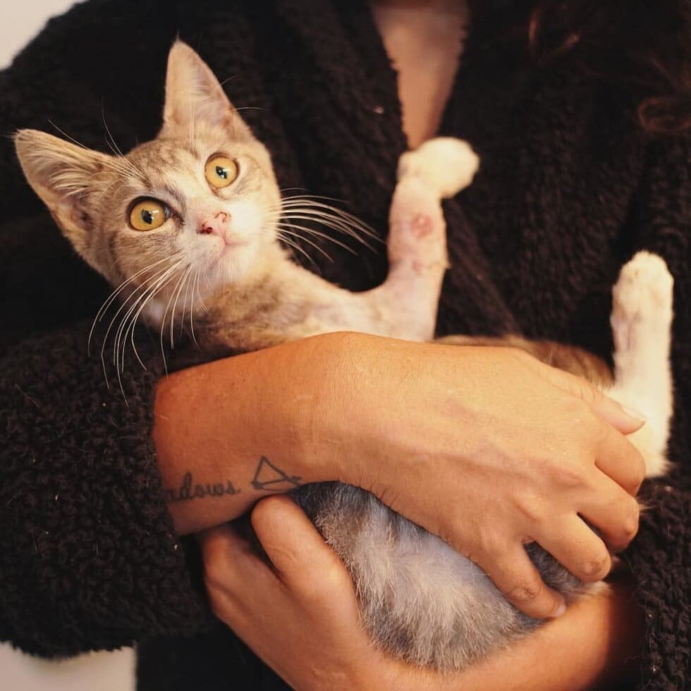 Фото: https://goo.su/1vGT