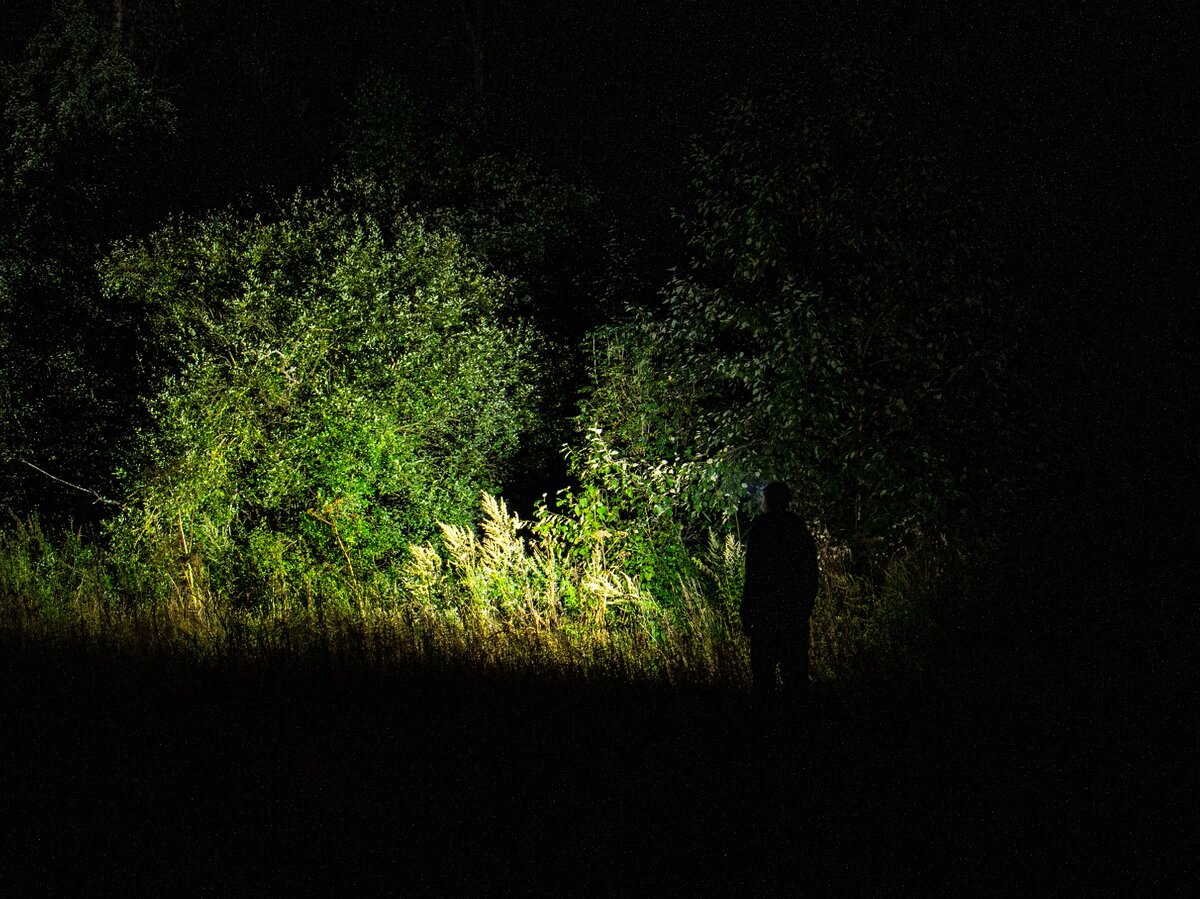 Ночная прогулка 