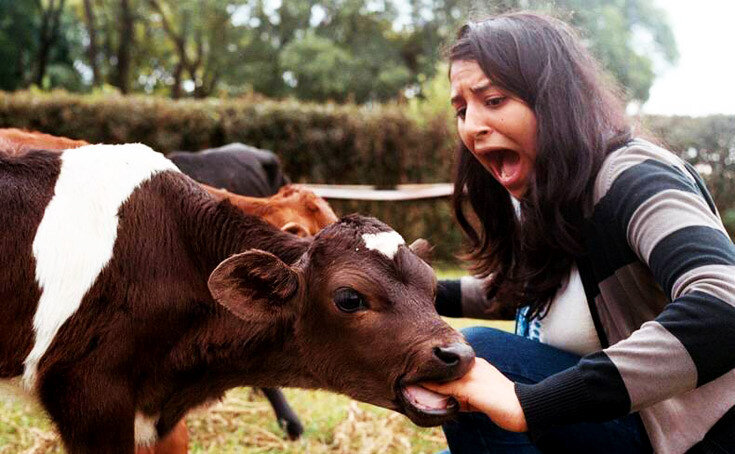 Вероломный хищник поедает свою жертву. Шок-контент