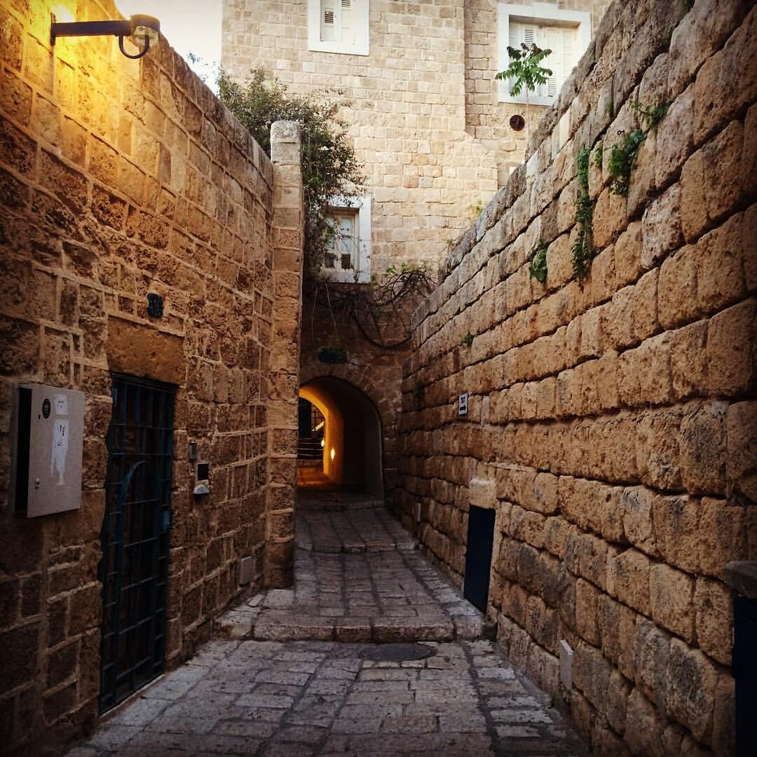 дербент крепость 2022. самарканд дворец. мечети и узкие улочки древних городов. каир старый город. древний город в дагестане дербент.