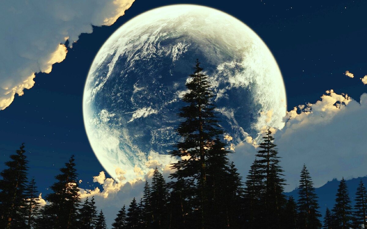 Фото: amazonaws.com