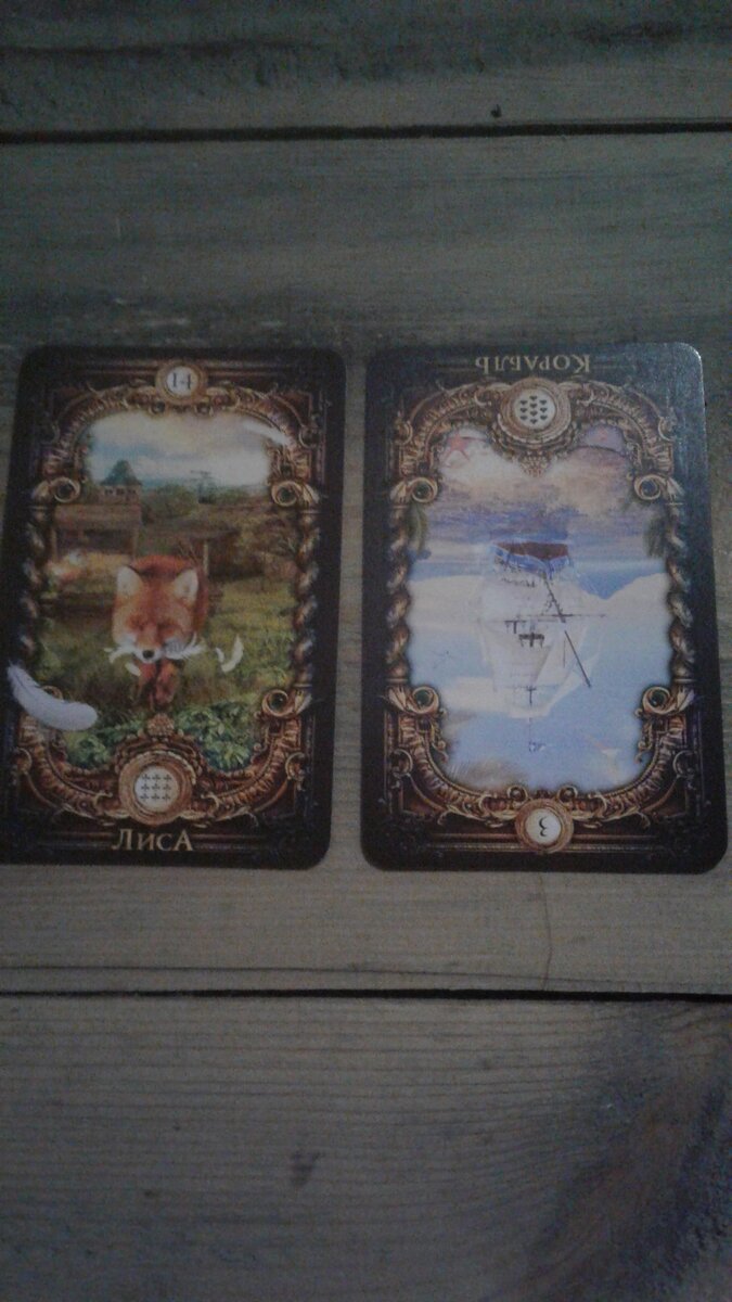 Фото авторское.