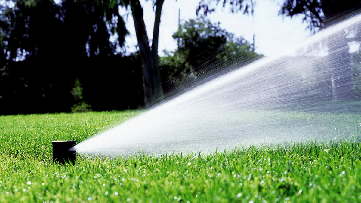 интенсивный полив