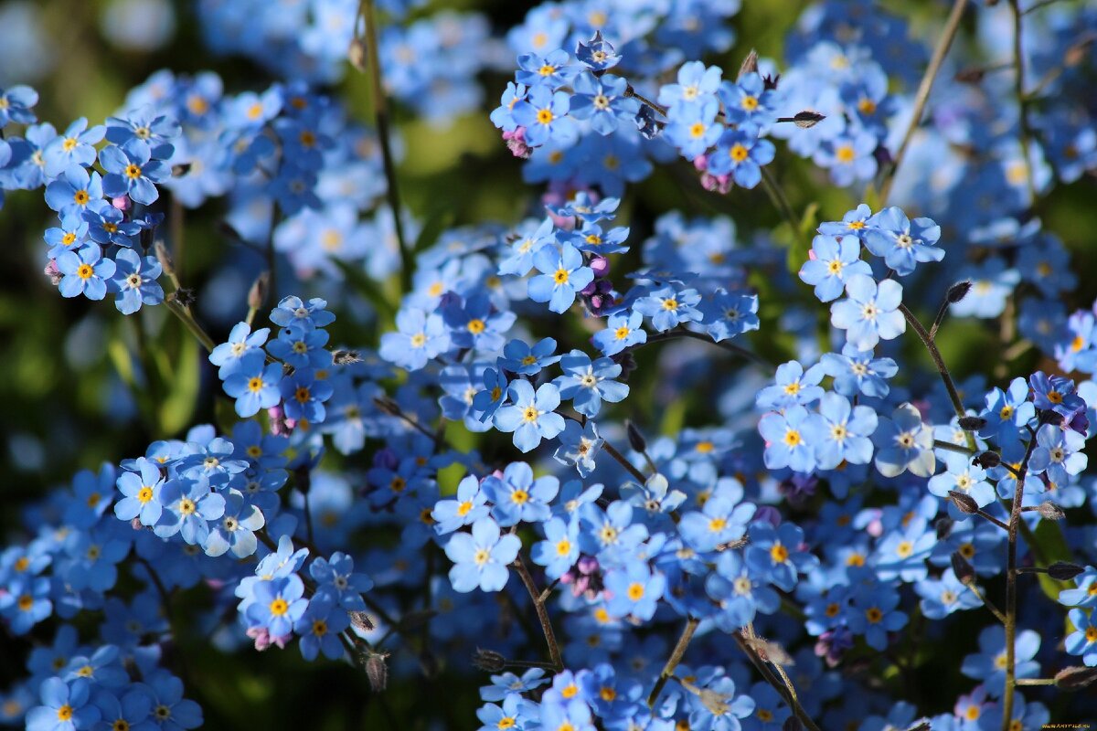 Фото из открытых источников.