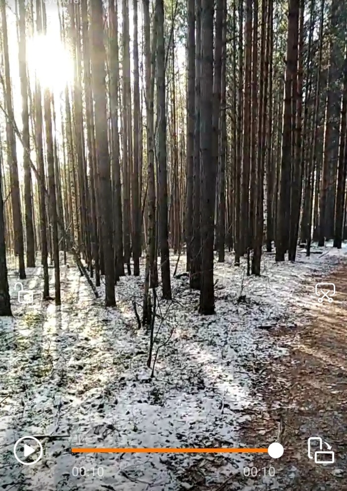 Вчера снега было чуть... 