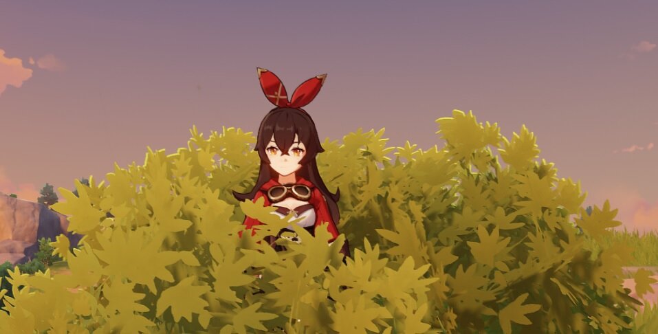 Эмбер в кустах