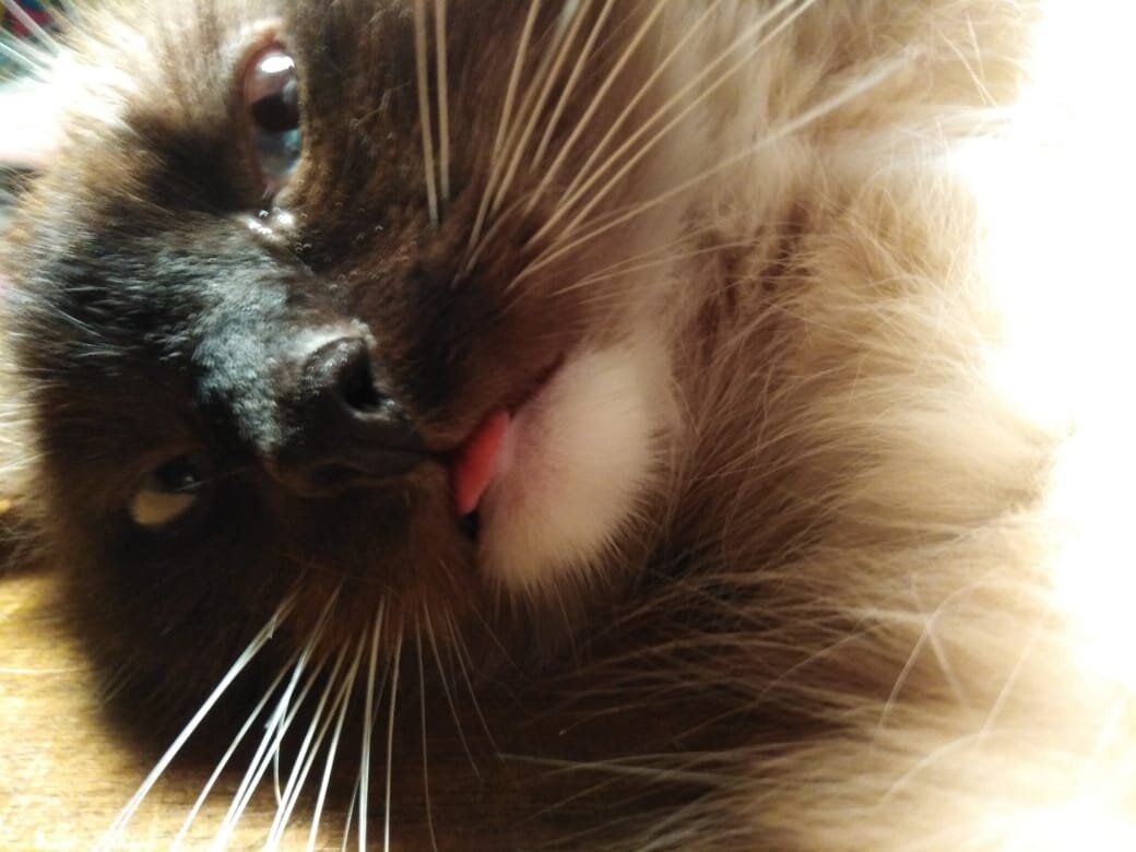 Мой Тимофей