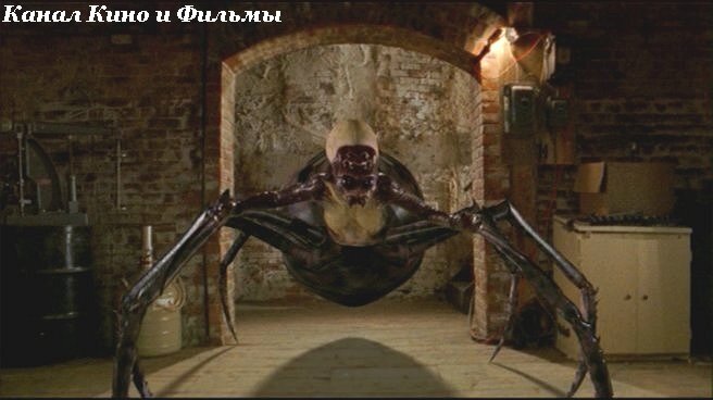 Фото из открытых источников где размещены иллюстрации для общего пользования