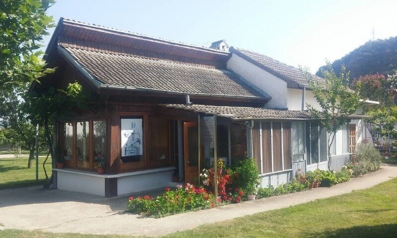 Фото https://www.instagram.com/p/BWDSlBtDfiT/