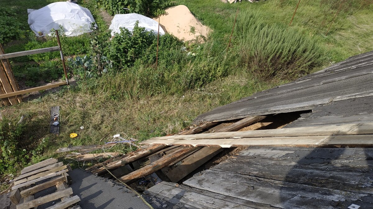 Пару досочек пустил почти до самого верха, хотя большая часть покороче.