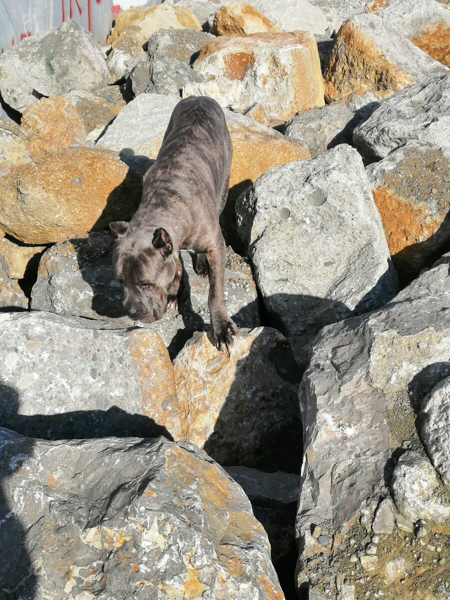 К сожалению очень сложно показать его изобретение на фото, поэтому вот вам красивые фото нашего парня) 