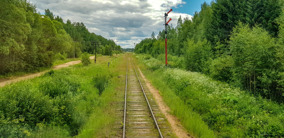 Входной чётный семафор на станции Селижарово. Два поднятых крыла означают, что маршрут для приёма поезда готов на боковой свободный путь. Фото: Алексей Алексеев