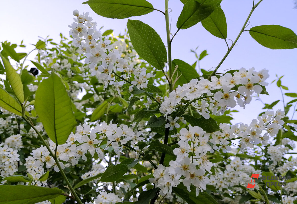 Фото: Елена Майорова/ФедералПресс