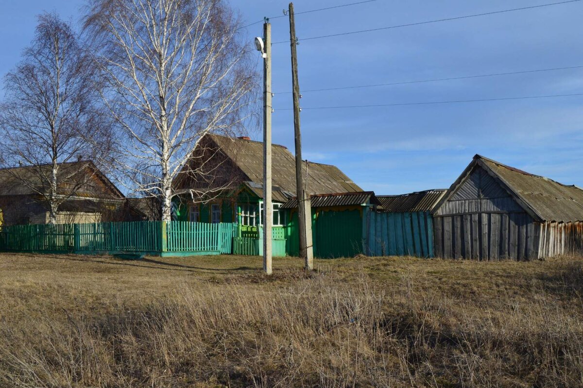 Деревенский двор. Наши планы | Тишь да Гладь | Дзен