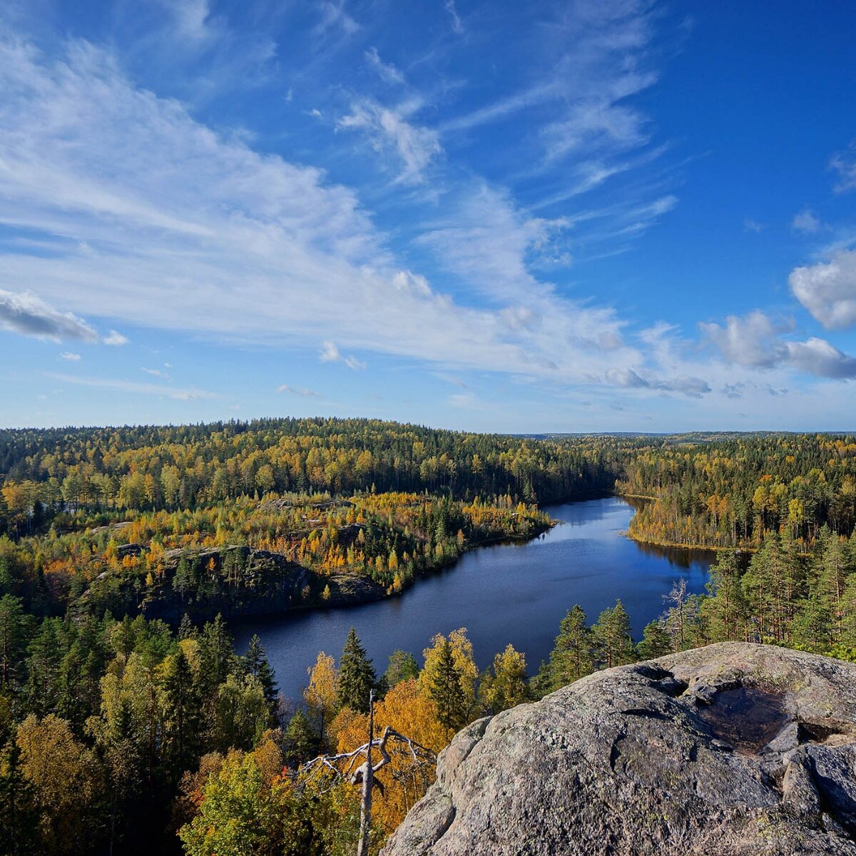 Озеро Треугольное, Выборгский район