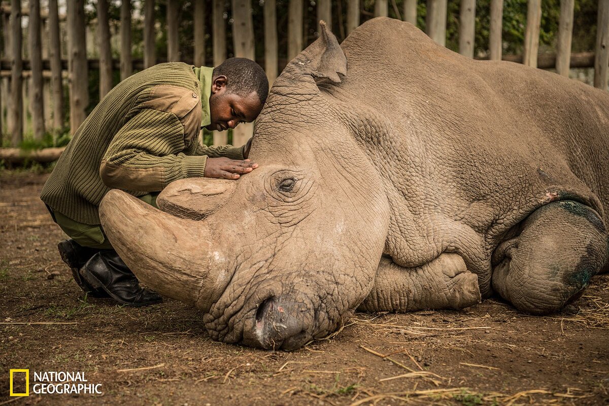 Главный редактор National Geographic отвечает на 7 самых частых вопросов о  фотографиях | Фотосклад.Эксперт | Дзен