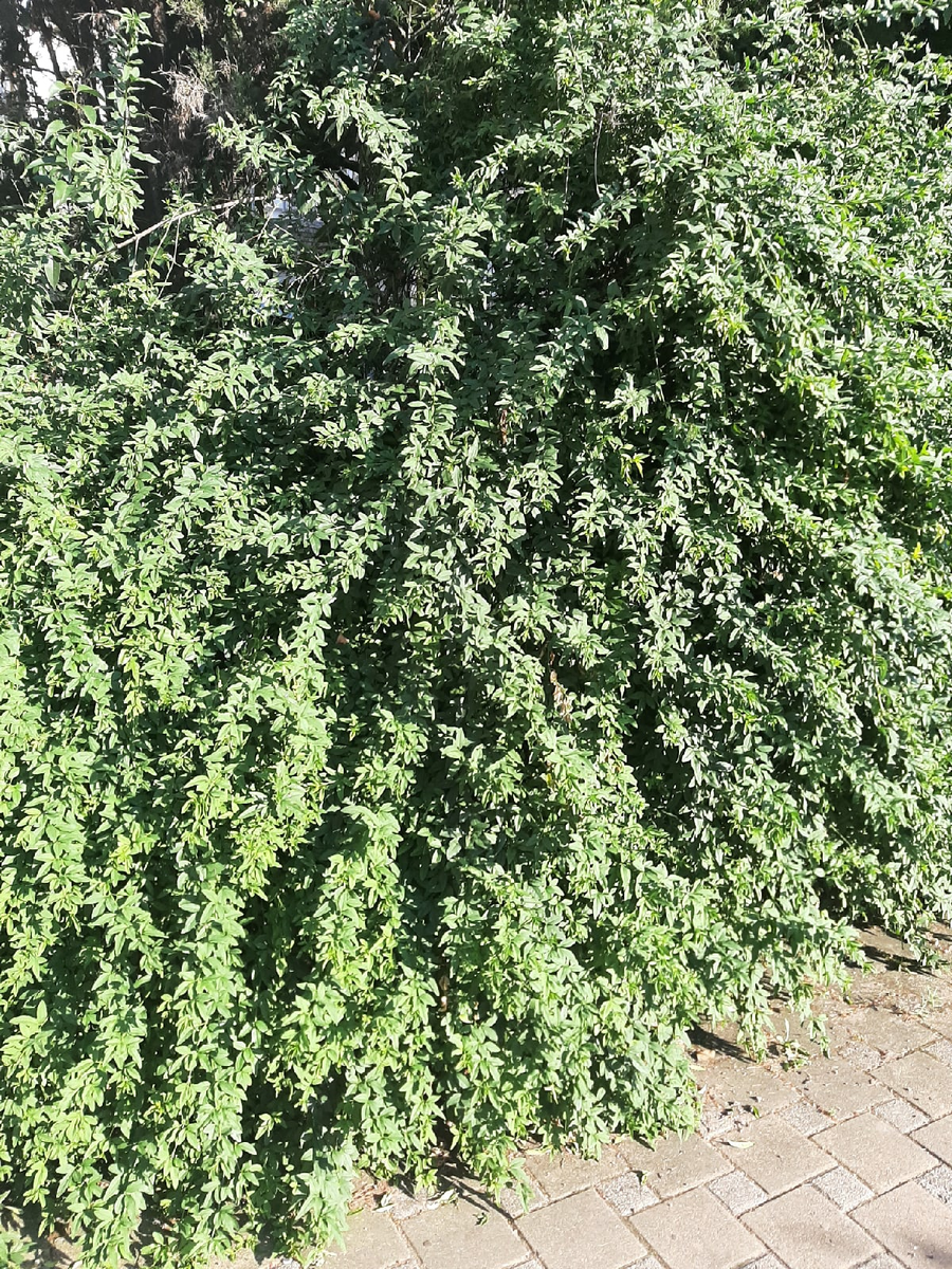 Фото взято из открытых источников 