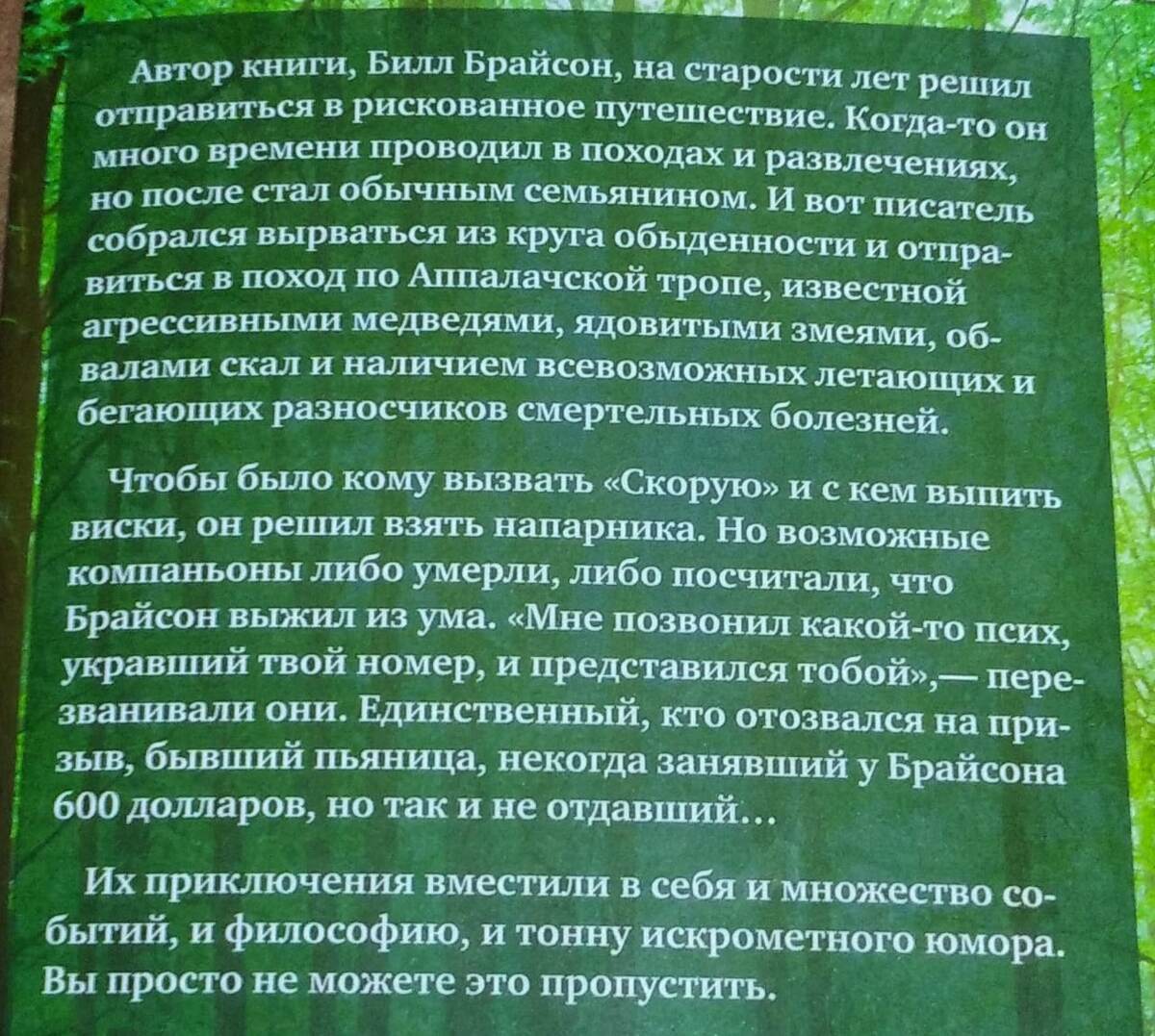 Аннотация забавная