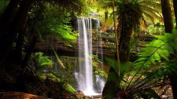 Координаты: -41.83273500,146.05178800