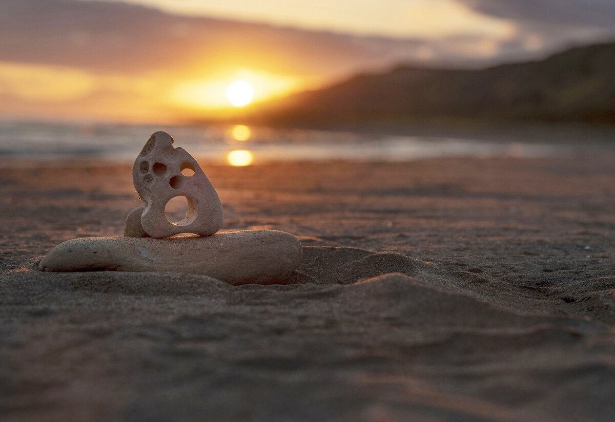 Фото: vk.com/kronoki/Анна Елисеева