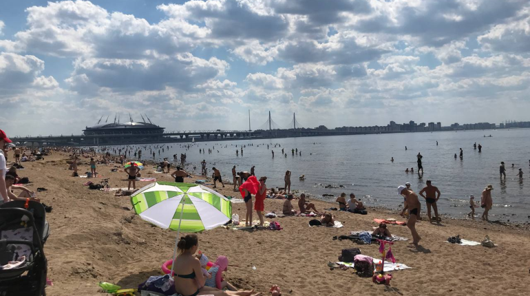 Изображение взял тут: https://moika78.ru/news/2021-06-20/614108-v-rekordnuyu-zharu-peterburzhtsy-poshli-kupatsya-v-neprigodnyh-mestah/