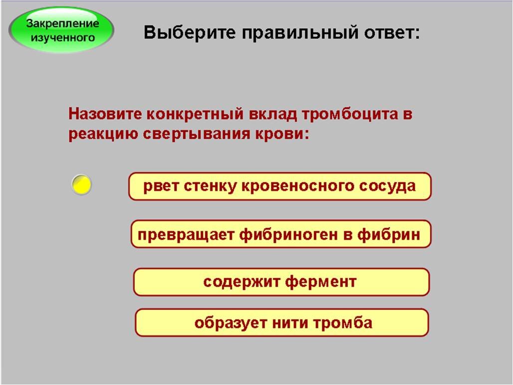 Изучаем тромбоциты на уроке биологии в 8 классе | Елена Сова: пуд соли в  школе | Дзен