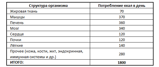 Х.Л. Fusion Industry©