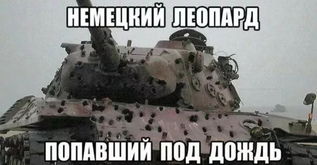 Сука на немецком