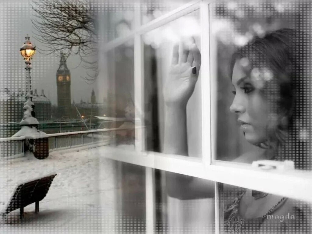 Фото взято из интернета 