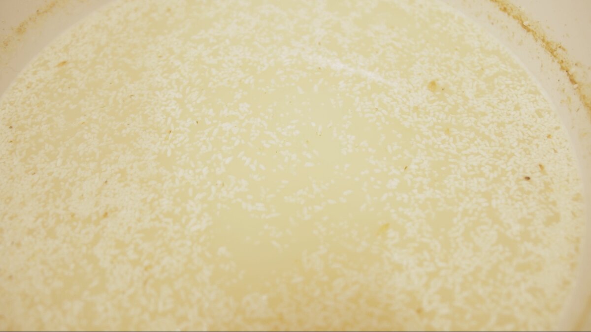 Холодное осахаривание рисовой браги ©