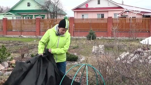 В гостях у Натальи Петренко: Вспоминаем как перезимовали рододендроны, анализируем ошибки