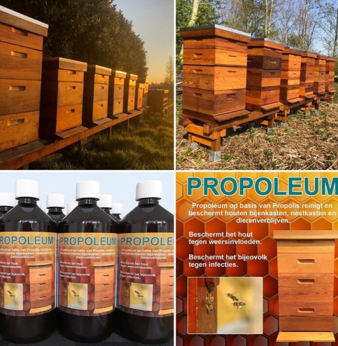 Фото со страницы немецкого пчеловода, который обрабатываевсе свои ульи только раствором прополиса. Инстаграм Bukfastimkers