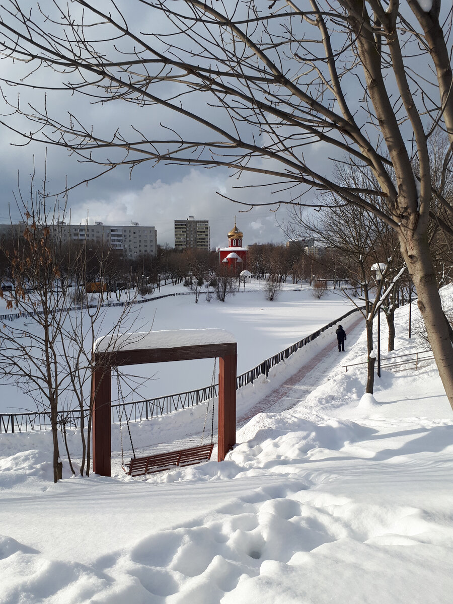 Морозное небо. Зима затянула пруды, ивы окутала снегом ...