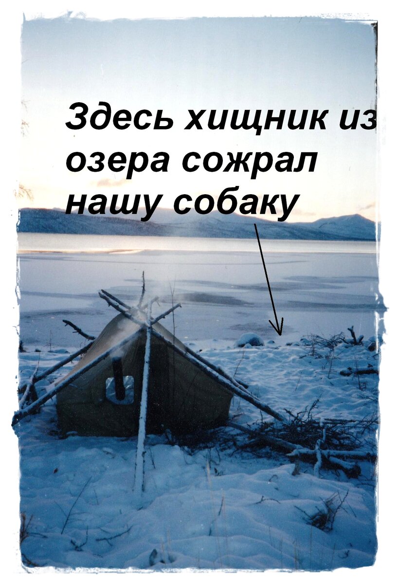 Палатка на берегу озера Лабынкыр. Фото Вадима Черноброва, 1999 г. Космопоиск. https://kosmopoisk.org