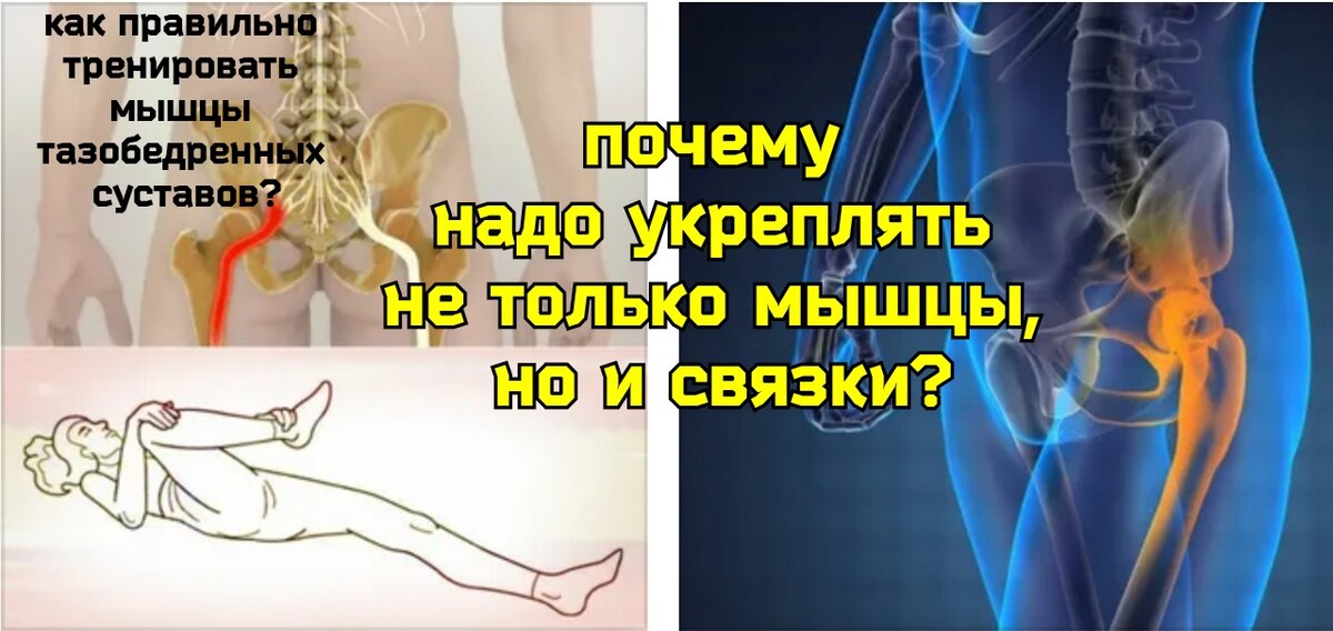 Как укрепить тазобедренный сустав. Связки укрепляющие тазобедренный сустав. укрепление тазобедренного сустава. тазобедренный сустави супинац.