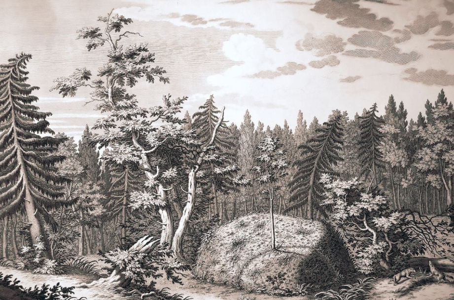 «Гром-камень в Лахтинском лесу». Гравюра Якоба Шлея по рисунку Юрия Фельтена. Источник: официальный сайт ГКУ «Дирекция особо охраняемых природных территорий Санкт-Петербурга»