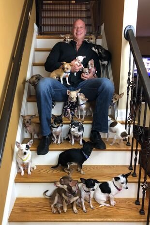 Бобби — тяжелоатлет, ставший любителем собак https://cutt.ly/iJcGfsG