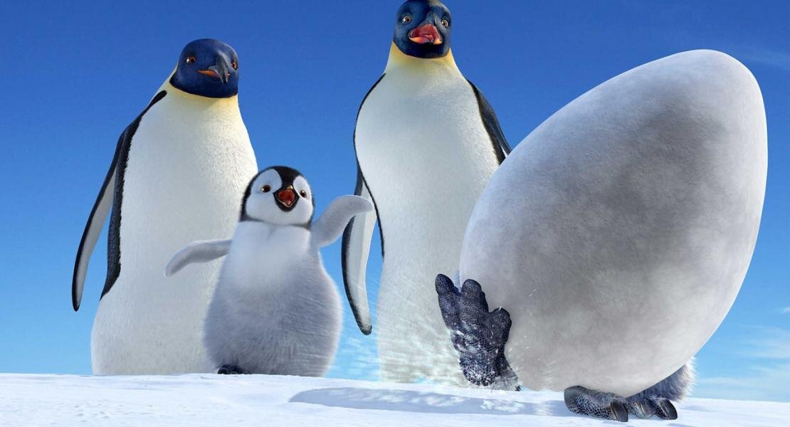 Кадр из мультфильма "Делай ноги" 