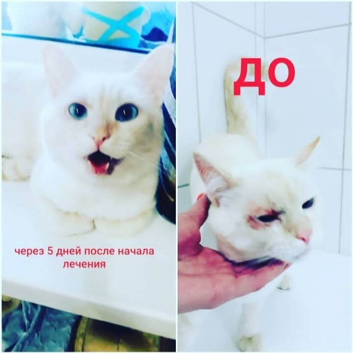 Фото с приемах