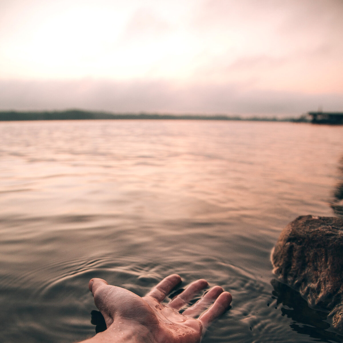 Photo by Josh Hild on Unsplash