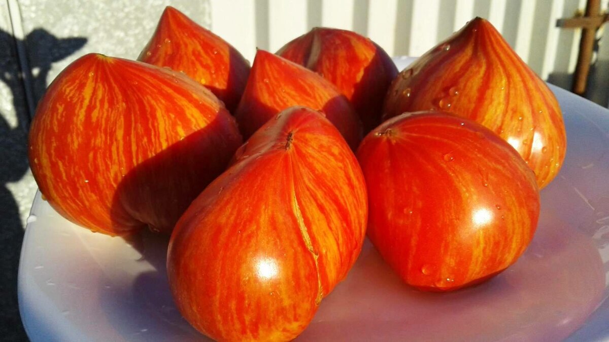 Фото с сайта mydobro.com