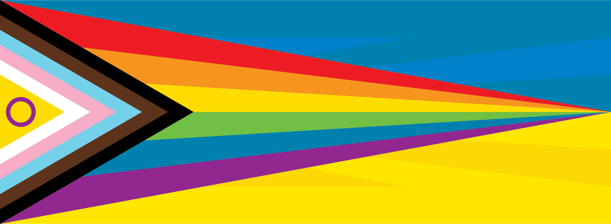 Последняя версия флага Гордости. В него входят флаги гермафродитов, темнокожих и Украины. Но не политических лесбиянок. Иллюстрация взята из свободных источников.