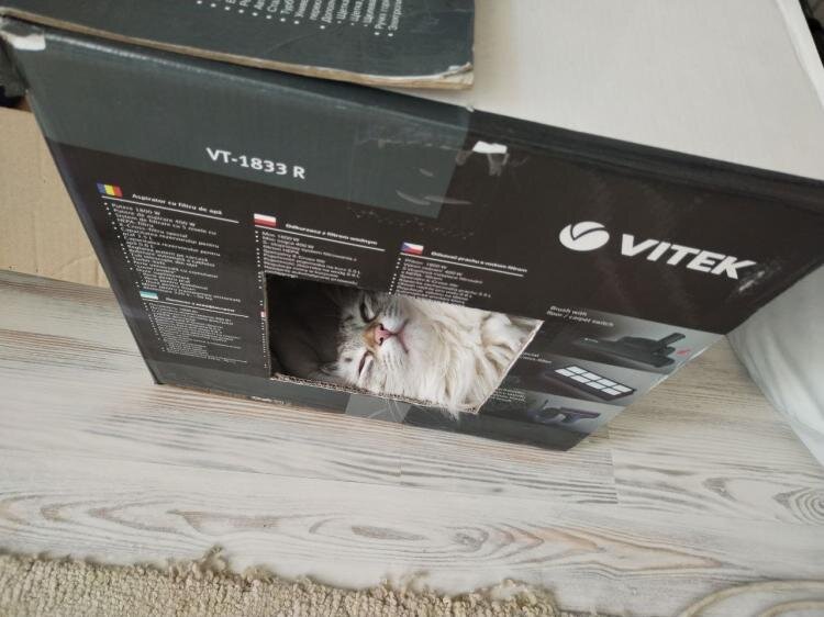 Фото: ИА «Тюменская линия»