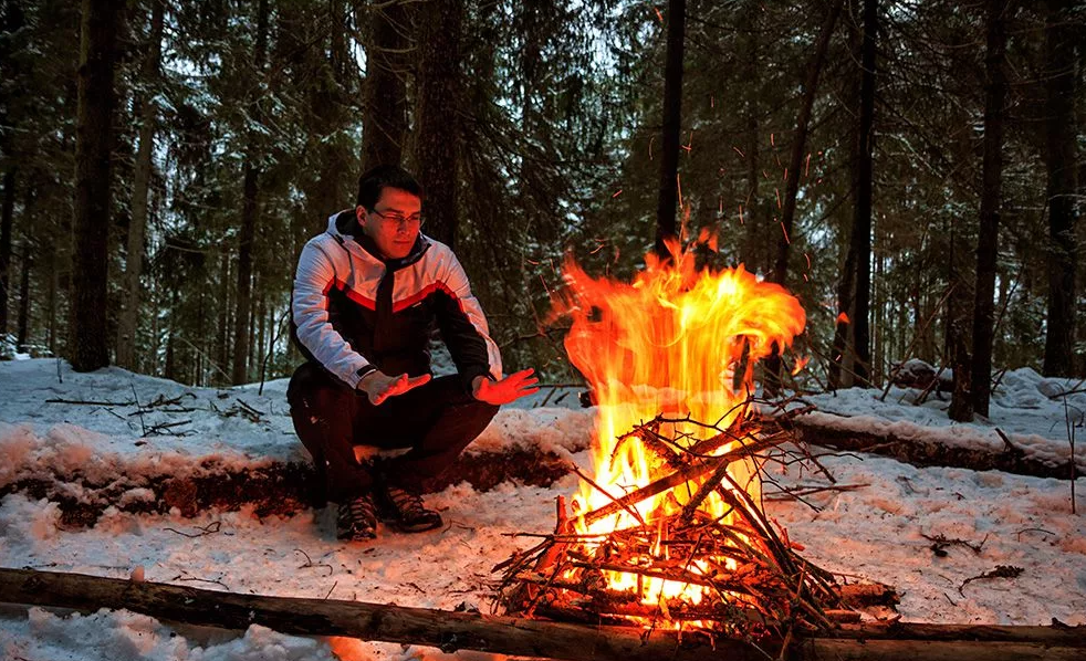 Яндекс картинки