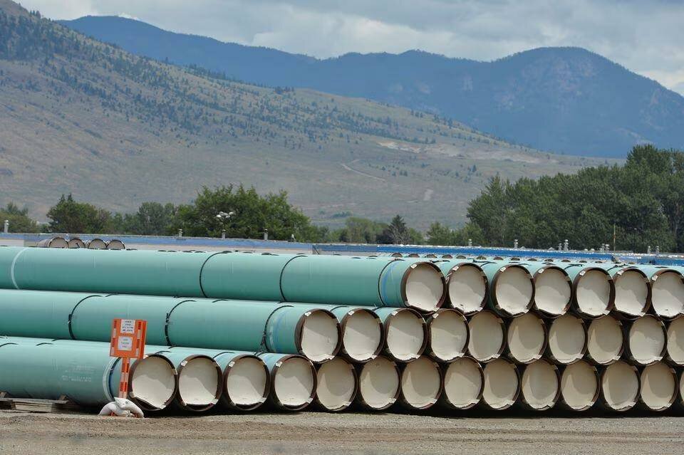  REUTERS / Дженнифер Готье