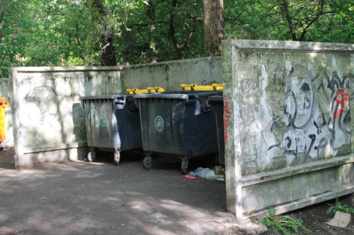    Почти 17 тысяч тонн мусора за 10 дней собрал новый регоператор Волгограда