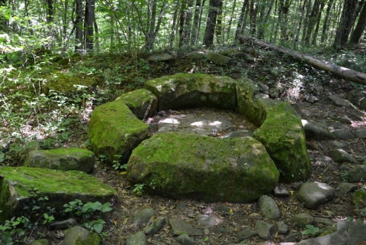 Взято из источников интернета.