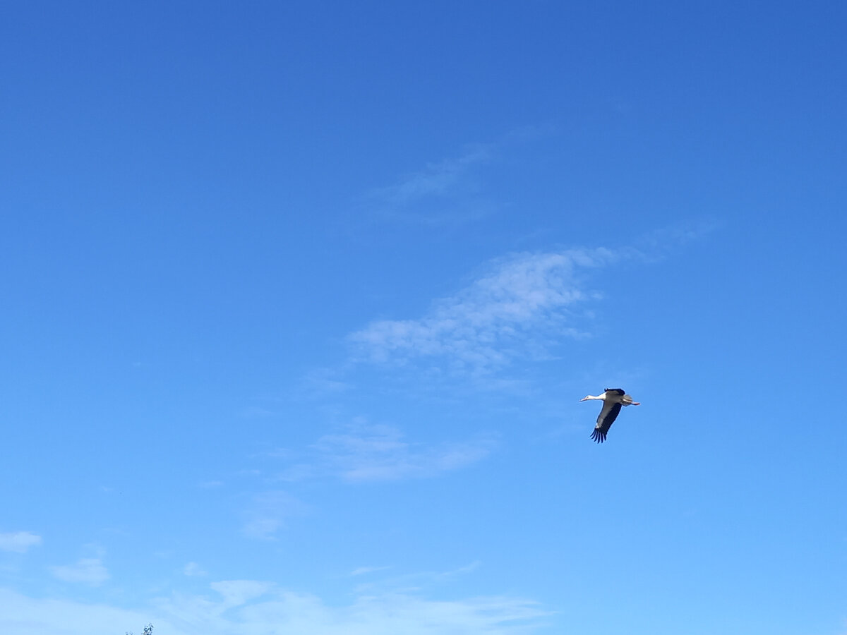 А это Второй