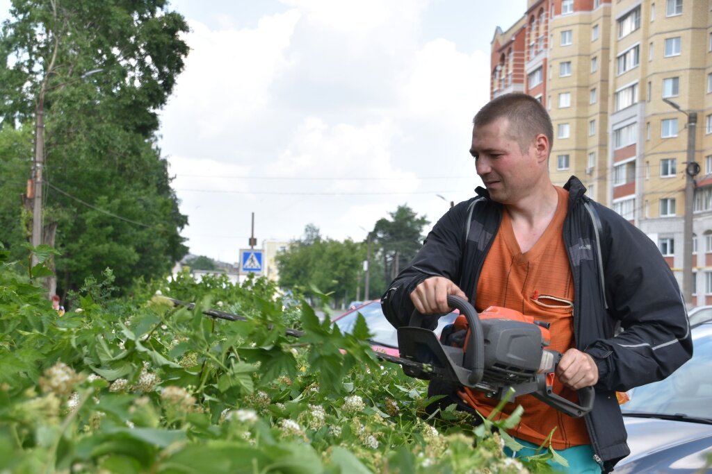 В Твери за неделю траву скосили с 83 000 кв. м, обрезали кустарник и окультурили цветники