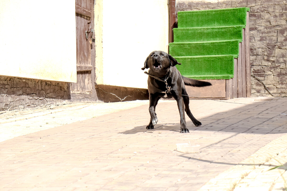 Фото:  Elena Mayorova/Globallookpress